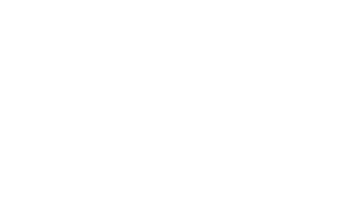 Velux