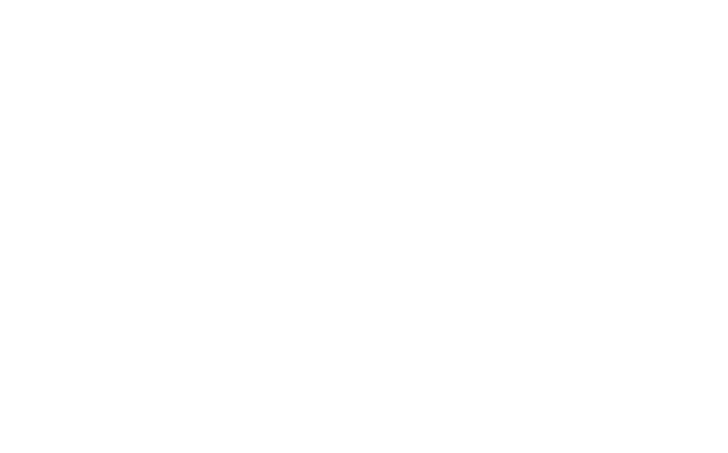 Amnesty